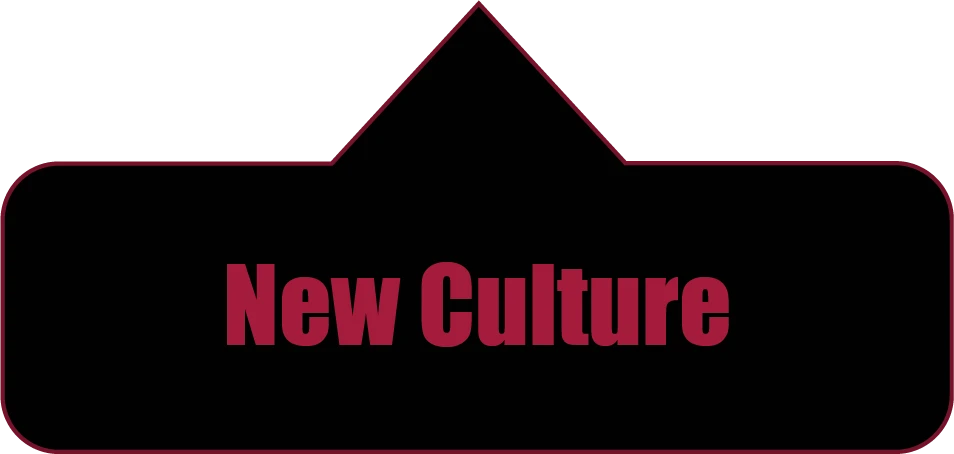 New Culture. Berater digitale transformation